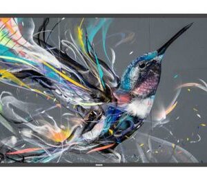 Philips 50BDL3511Q/00 visualizzatore di messaggi Pannello A digitale 127 cm (50") 500 cd/m² 4K Ultra HD Nero 18/7