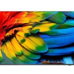 Philips 50HFL6214U 127 cm (50") 4K Ultra HD Smart TV Wi-Fi Antracite 400 cd/m² Display arrotolabile