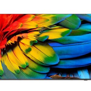 Philips 50HFL6214U 127 cm (50") 4K Ultra HD Smart TV Wi-Fi Antracite 400 cd/m² Display arrotolabile