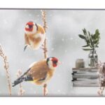 LG 55EW5P-M visualizzatore di messaggi 139,7 cm (55") OLED 600 cd/m² Full HD Argento Touch screen 18/7
