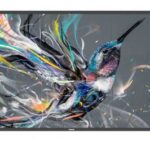 Philips 65BDL3511Q/02 visualizzatore di messaggi Pannello piatto per segnaletica digitale 165,1 cm (65") LCD 400 cd/m² 4K Ultra HD Nero 18/7