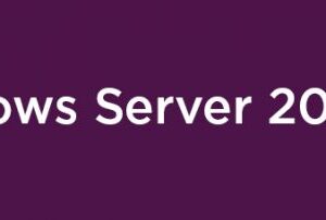 Lenovo Windows Server 2025 Client Access License (CAL) Licenza