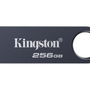 Kingston Technology DataTraveler 256GB SE9 G3 - Nichel scuro