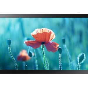Samsung QB13R-TM Pannello piatto interattivo 33 cm (13") LED Wi-Fi 500 cd/m² Full HD Nero Touch screen Processore integrato Tizen 4.0 16/7