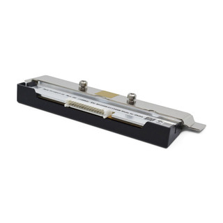Zebra P1123335-153 testina stampante Trasferimento termico