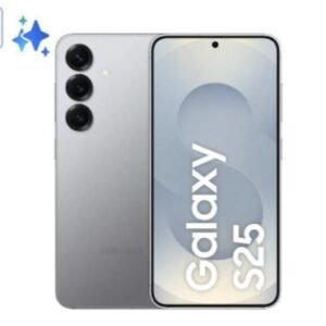 Samsung Galaxy S25 Enterprise Edition 15,8 cm (6.2") Doppia SIM Android 15 5G USB tipo-C 12 GB 128 GB 4000 mAh Argento